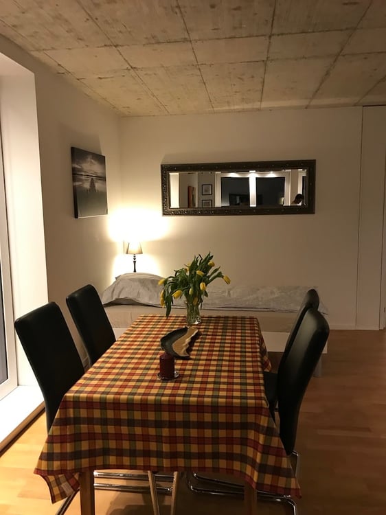 🏡✨ Fully Furnished 2-5 room Appartment for rent in Wallisellen  (Melchrütistrasse 14) 8