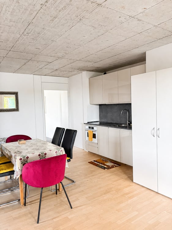 🏡✨ Fully Furnished 2-5 room Appartment for rent in Wallisellen  (Melchrütistrasse 14) 12