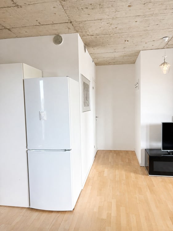 🏡✨ Fully Furnished 2-5 room Appartment for rent in Wallisellen  (Melchrütistrasse 14) 6