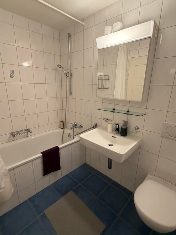 🏡 Modern 3.5-Room Furnished Apartment in Zürich Altstetten (near Zürich-Binz) 18