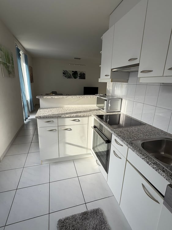 🏡 Modern 3.5-Room Furnished Apartment in Zürich Altstetten (near Zürich-Binz) 16