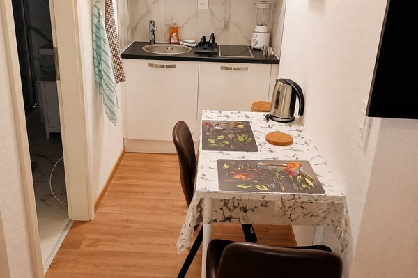 🏡Fully Furnished Studio Apartment Steinstrasse 35 8003 Zurich Ground Floor Right Side-S4 7