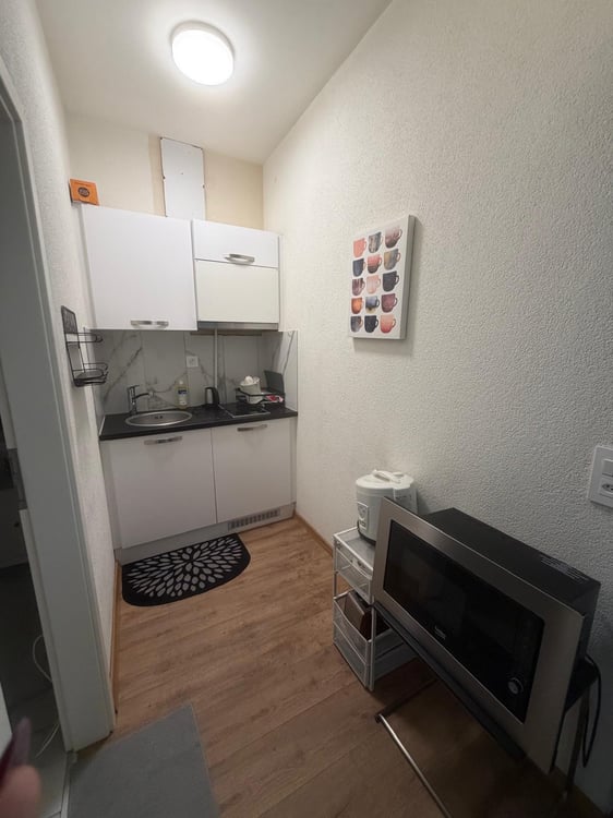🏡Fully Furnished Studio Apartment Steinstrasse 35 8003 Zurich Ground Floor Right Side-S4 6