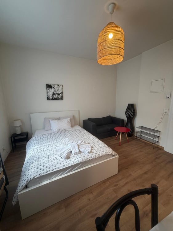 🏡Fully Furnished Studio Apartment Steinstrasse 35 8003 Zurich Ground Floor Right Side-S4 3