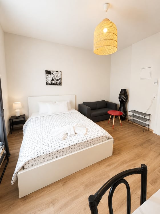 🏡Fully Furnished Studio Apartment Steinstrasse 35 8003 Zurich Ground Floor Right Side-S4 2