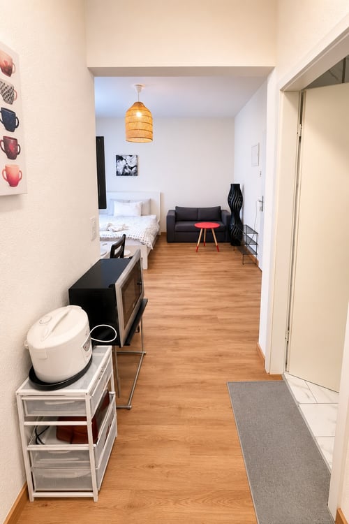 🏡Fully Furnished Studio Apartment Steinstrasse 35 8003 Zurich Ground Floor Right Side-S4 5