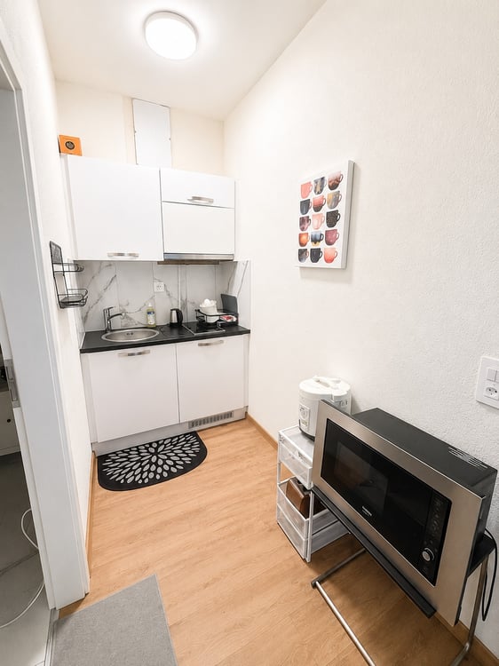 🏡Fully Furnished Studio Apartment Steinstrasse 35 8003 Zurich Ground Floor Right Side-S4 3