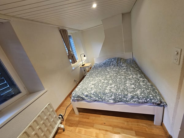 🏡Modern 3.5-Room Furnished Apartment - Langnau am Albis Ideal for Corporate & Families 7