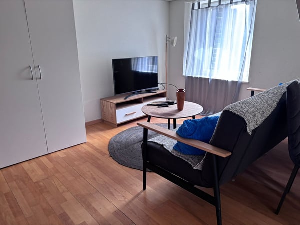 🏡Modern 3.5-Room Furnished Apartment - Langnau am Albis Ideal for Corporate & Families 6