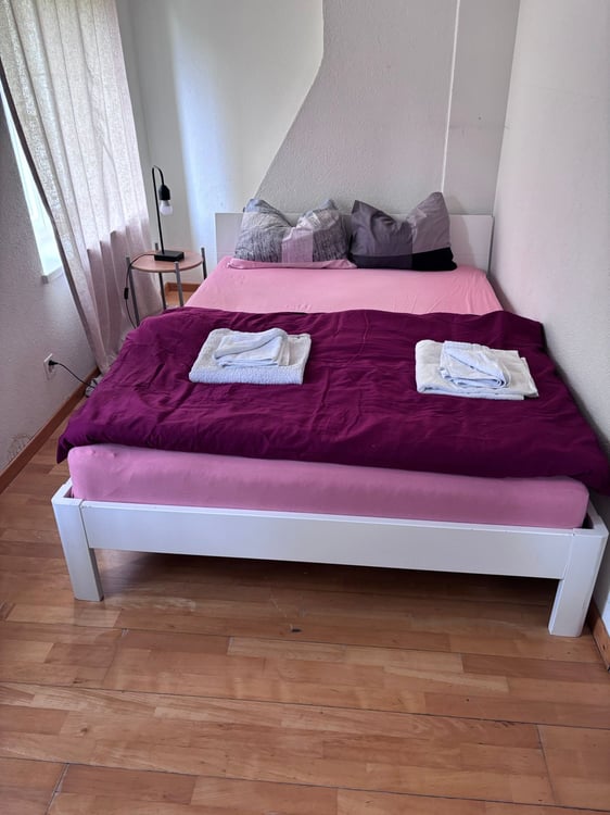 🏡Modern 3.5-Room Furnished Apartment - Langnau am Albis Ideal for Corporate & Families 12