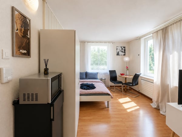 🏡 Cozy Furnished Studio Apartment in Wallisellen 4