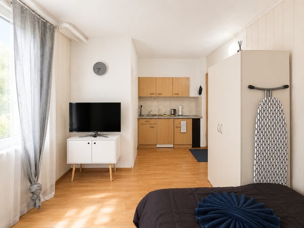 🏡 Cozy Furnished Studio Apartment in Wallisellen 6