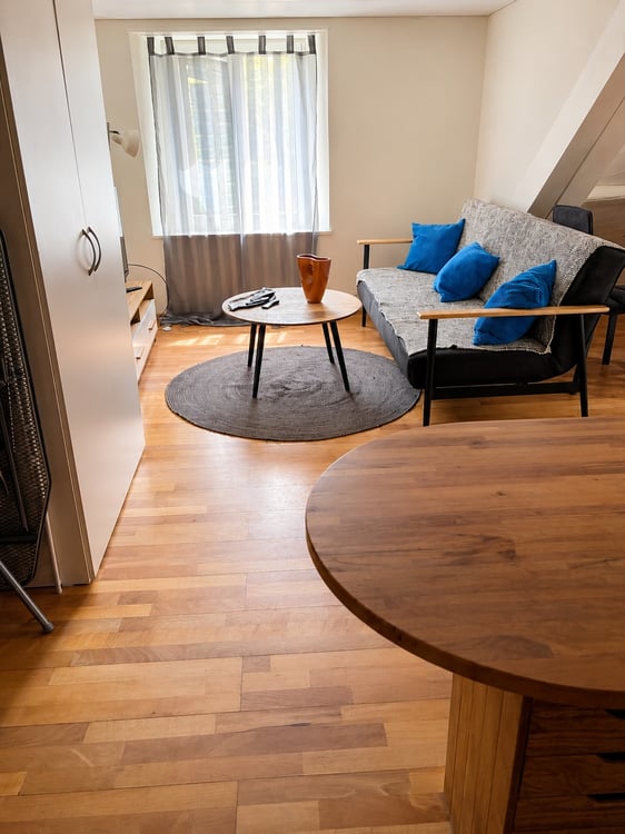 🏡Modern 3.5-Room Furnished Apartment - Langnau am Albis Ideal for Corporate & Families 2