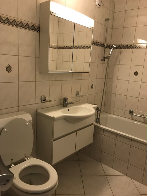 🏠 Charming 3.5-Room Furnished Apartment with Balcony in Adliswil – Available Immediately 11
