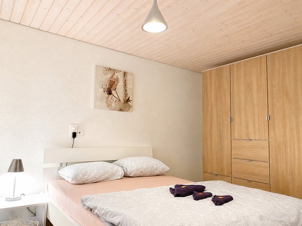 🏡Charming Furnished 2.5-Room Apartment in Langnau am Albis 4