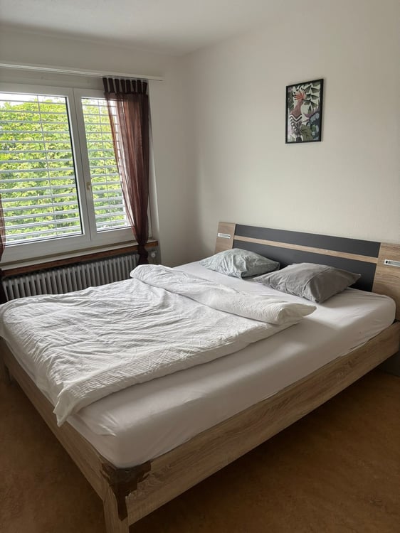 ✨ Fully Furnished 2.5-Room Apartment in Quiet Dübendorf 4
