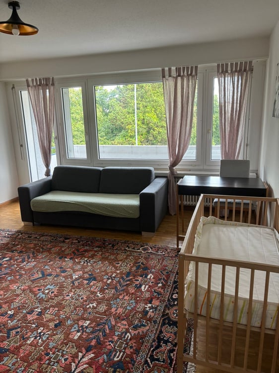 ✨ Fully Furnished 2.5-Room Apartment in Quiet Dübendorf 2