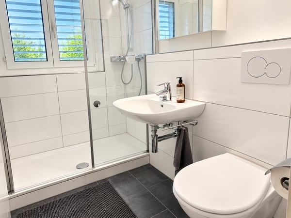 ✨Charming Furnished 2.5-Room Apartment with Balcony in Dübendorf 14