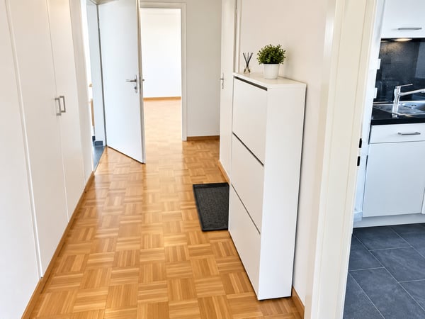 ✨Charming Furnished 2.5-Room Apartment with Balcony in Dübendorf 7