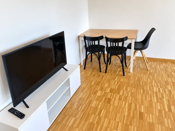 ✨Charming Furnished 2.5-Room Apartment with Balcony in Dübendorf 3