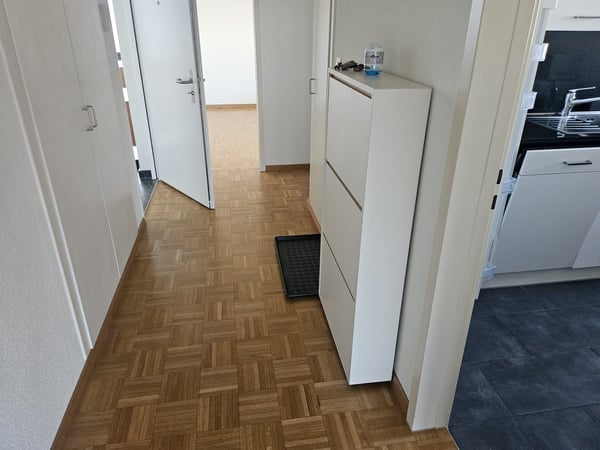 ✨Charming Furnished 2.5-Room Apartment with Balcony in Dübendorf 12