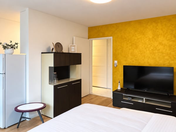 ✨Fully Furnished 1.5-Room Apartment in Langnau am Albis 3