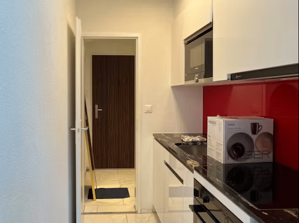 ✨Fully Furnished 1.5-Room Apartment in Langnau am Albis 7