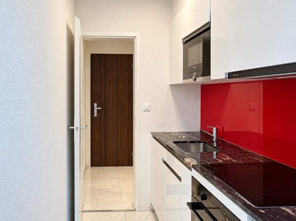 ✨Fully Furnished 1.5-Room Apartment in Langnau am Albis 7