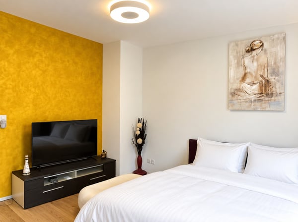 ✨Fully Furnished 1.5-Room Apartment in Langnau am Albis 2