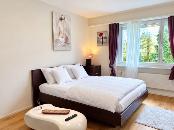 ✨Fully Furnished 1.5-Room Apartment in Langnau am Albis 1