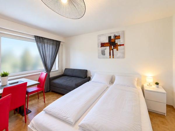 🏡 Fully Furnished 1.5-Room Apartment with Balcony in Dübendorf 4