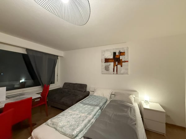 🏡 Fully Furnished 1.5-Room Apartment with Balcony in Dübendorf 3