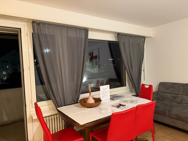 🏡 Fully Furnished 1.5-Room Apartment with Balcony in Dübendorf 7