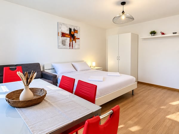 🏡 Fully Furnished 1.5-Room Apartment with Balcony in Dübendorf 3