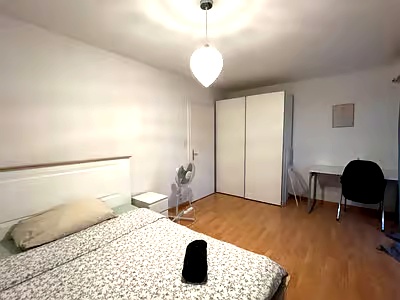 💎Charming Furnished 4.5-Room Apartment with Balcony in Dübendorf 8