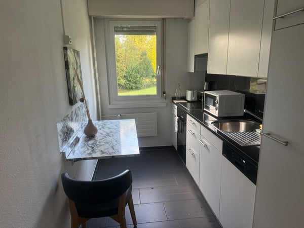 Fully Furnished 3.5-Room Apartment with 2 Bedrooms, 2 Bathrooms & Private Patio | Zürich 8051 6