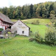 🌟 Furnished 2.5-Room Apartment in Langnau am Albis 10