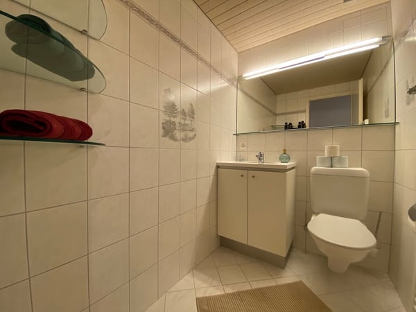 💎 Elegant Furnished 4.5-Room Home with a Beautiful Balcony in Seebach 27