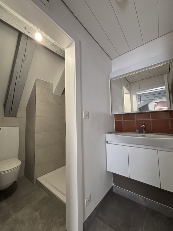 Renovierte 3.5-Zimmer-Maisonettewohnung in Liestal zu vermieten 10
