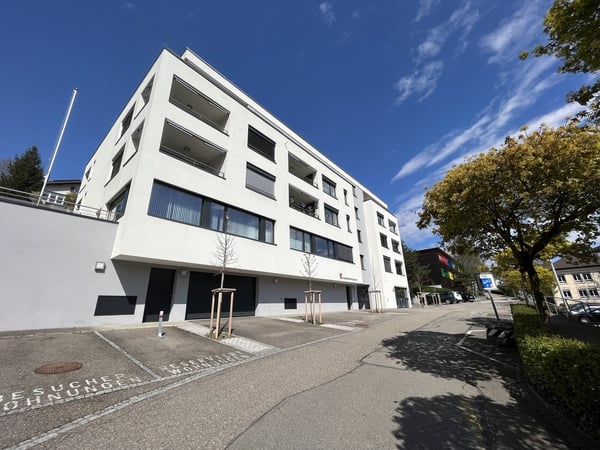 2.5-Zimmerwohnung in Niederdorf zu vermieten