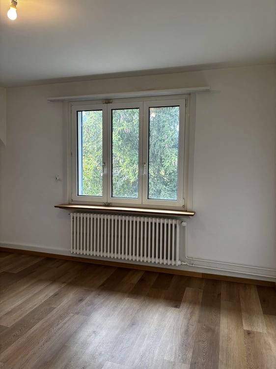 3.5-Zimmerwohnung in Niederdorf zu vermieten 5