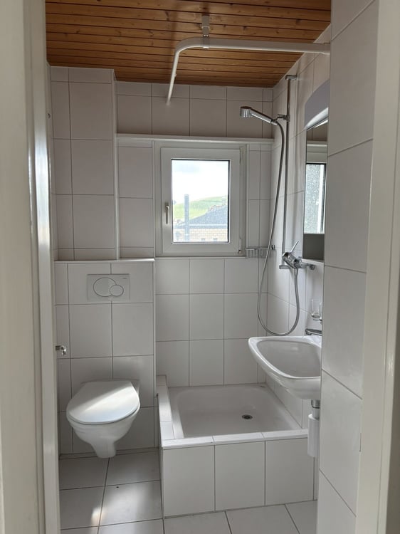 3.5-Zimmerwohnung in Niederdorf zu vermieten 6