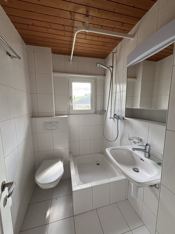 3.5-Zimmerwohnung in Niederdorf zu vermieten 7