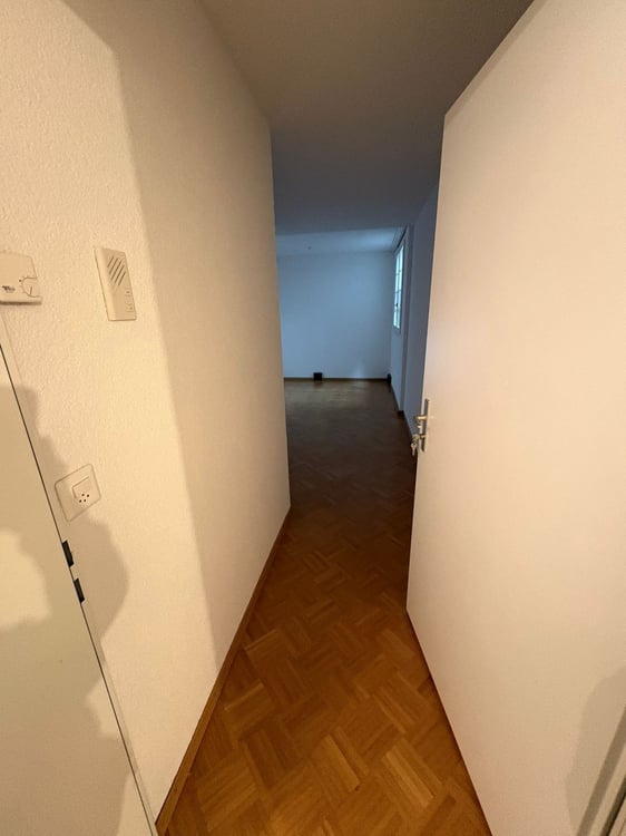 Vielseitiger Hobbyraum in ruhiger Lage von Rafz 2