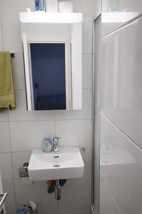 Gemütliches 1-Zimmer-Apartment im 1. OG in Winterthur 4