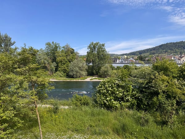 Traumhafter Blick auf die Limmat und Naherholung vor der Haustür 2