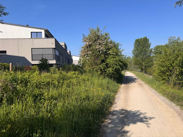 Wohnen direkt an der Naherholung - Limmat vor der Haustür! 18