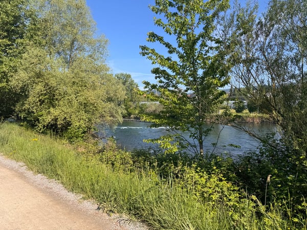 Wohnen direkt an der Naherholung - Limmat vor der Haustür! 20