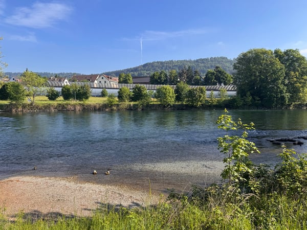 Wohnen direkt an der Naherholung - Limmat vor der Haustür! 19