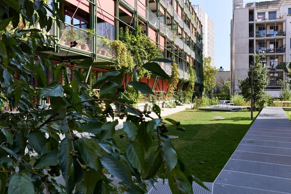 Schöne 2.5-Zimmer-Wohnung in einem aufblühenden Stadtquartier 3